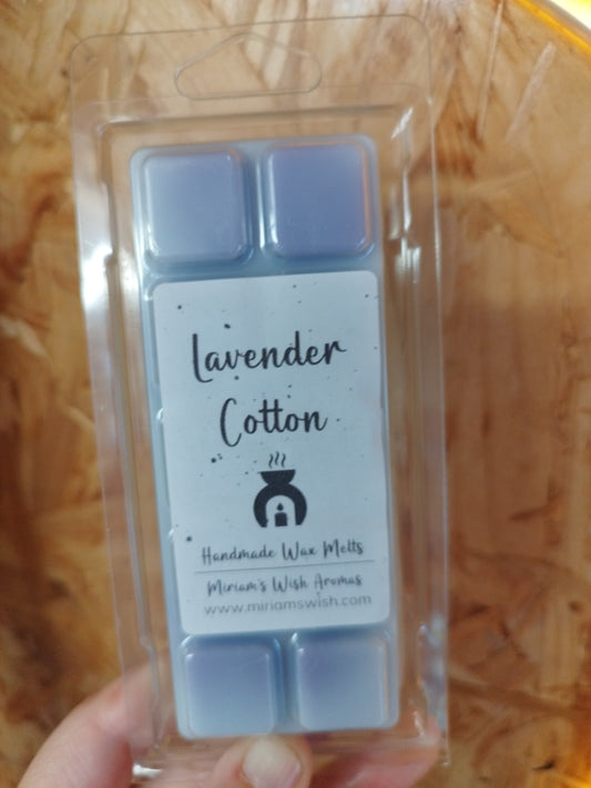 Lavender Cotton